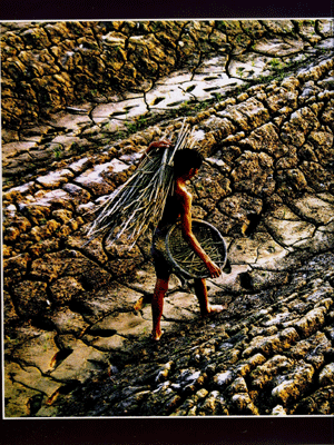 Thí sinh HN đạt giải Nhất cuộc thi ảnh với chủ đề biến đổi khí hậu